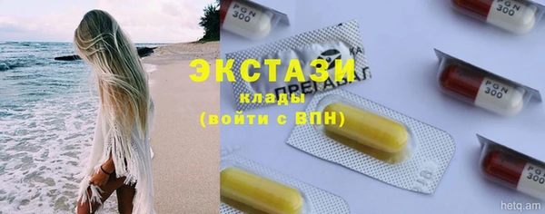 амф Тайга