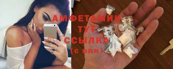амф Тайга