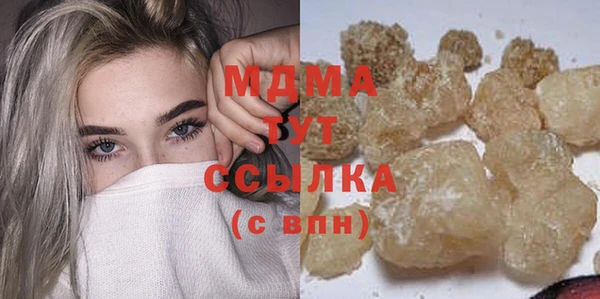 амф Тайга