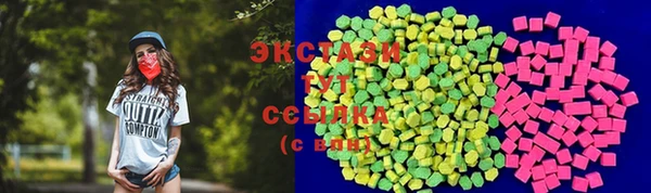 гидра Тавда